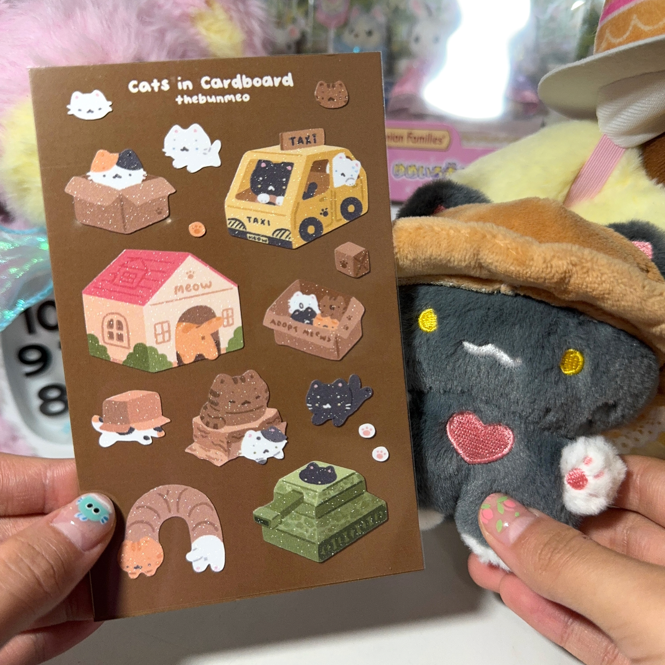 Cats in Cardboard Sheet 📦/ᐠ. .ᐟ\ฅ