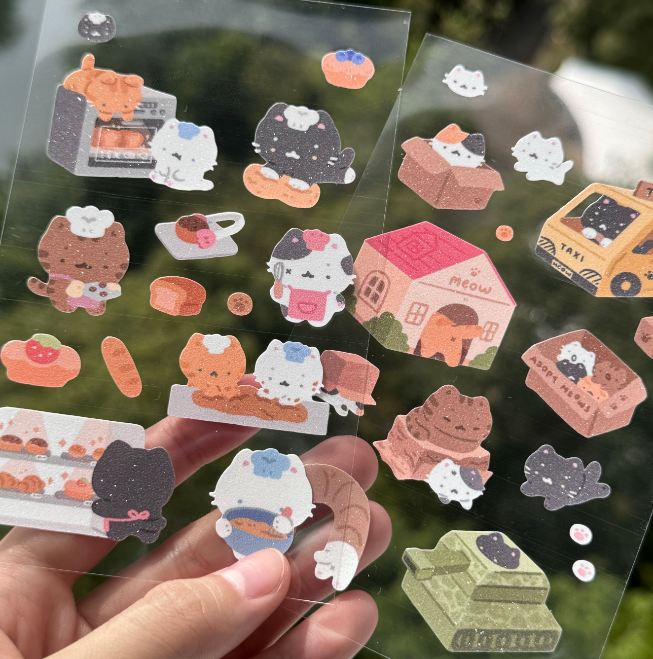 Cats in Cardboard Sheet 📦/ᐠ. .ᐟ\ฅ