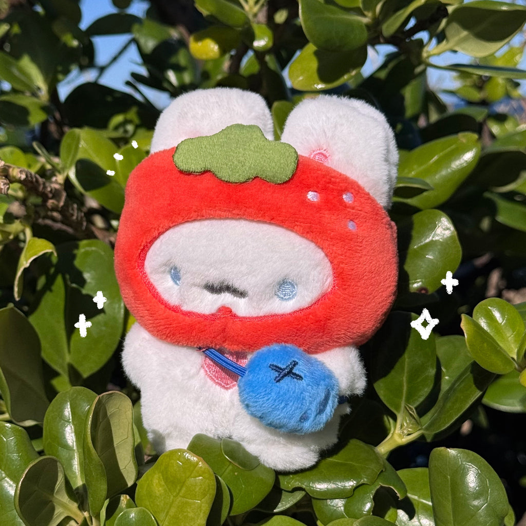 Berry Outfit